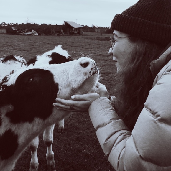 Meet your Posher, Rose - Picture 1 of 1